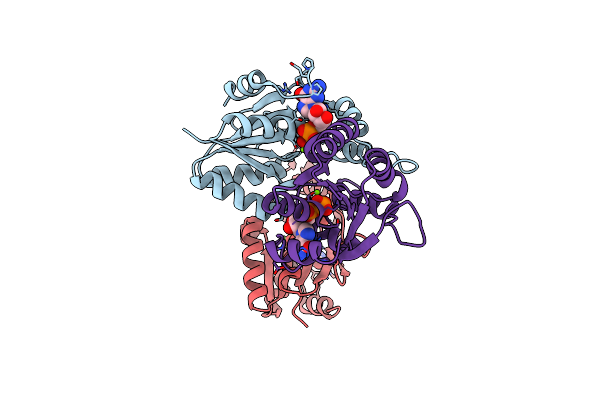 9DRZ image