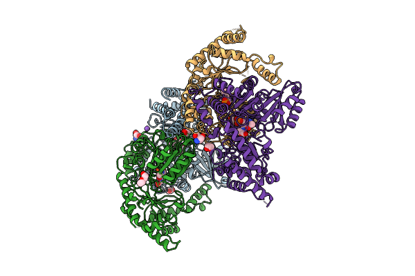 9DS0 image