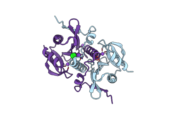 9DSB image