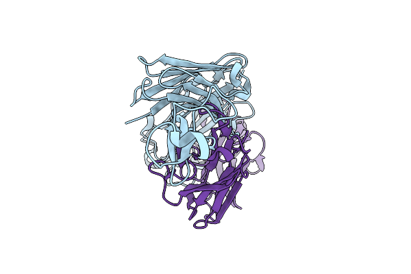 9DSH image