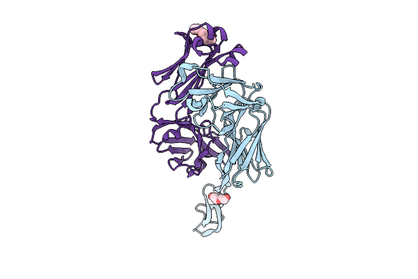9DSJ image