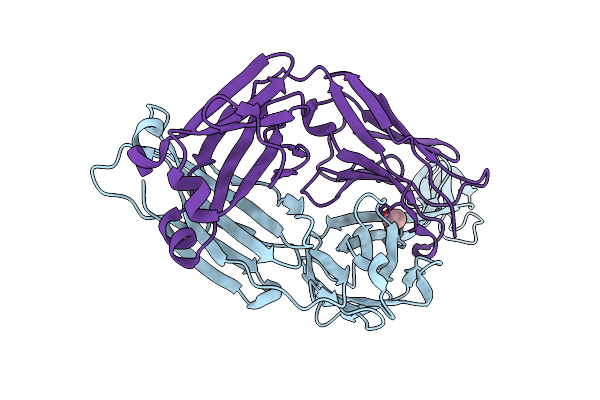 9DSK image