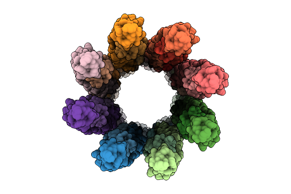 9DSM image