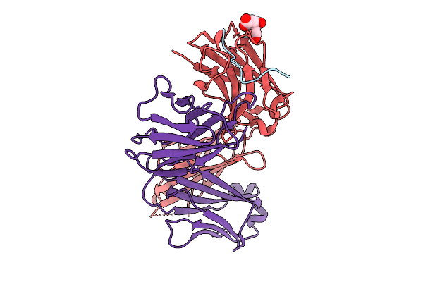 9DST image