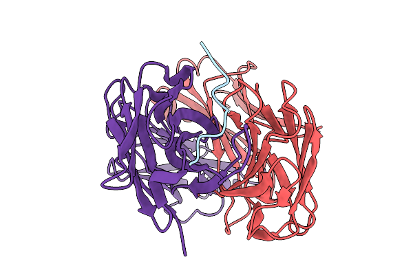 9DSU image