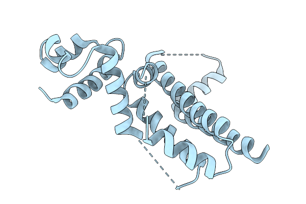 9DT2 image