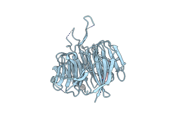 9DTB image