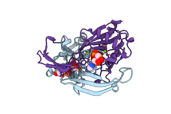 9DTC image