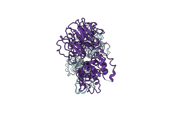 9DTG image