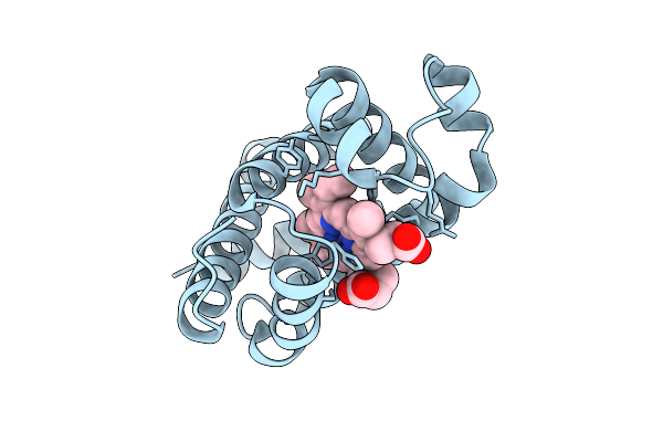 9DTH image