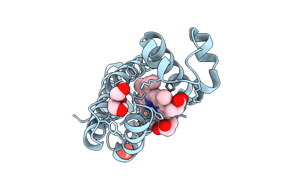 9DTI image