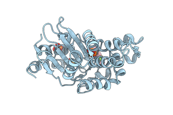 9DTJ image