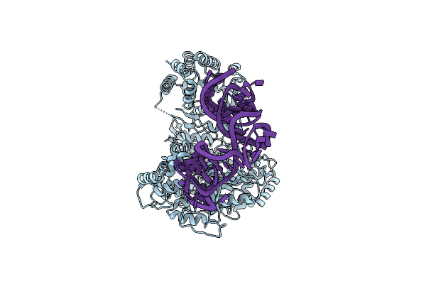 9DTT image