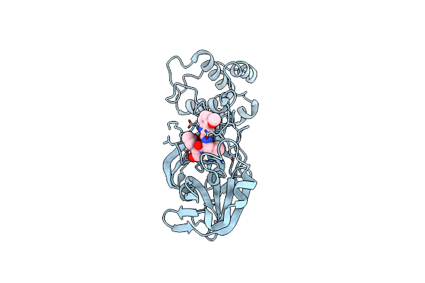 9DU3 image