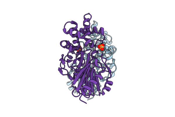 9DUC image
