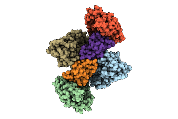 9DVI image