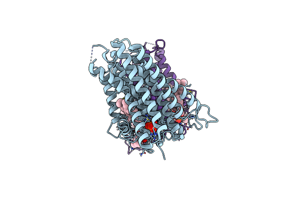 9DVJ image