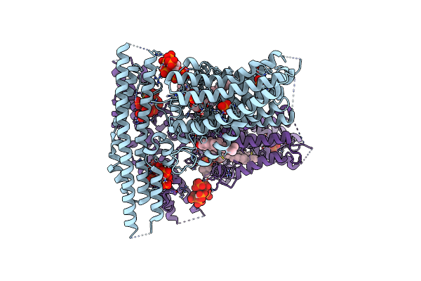 9DVN image