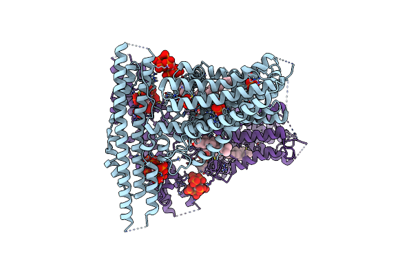 9DVO image