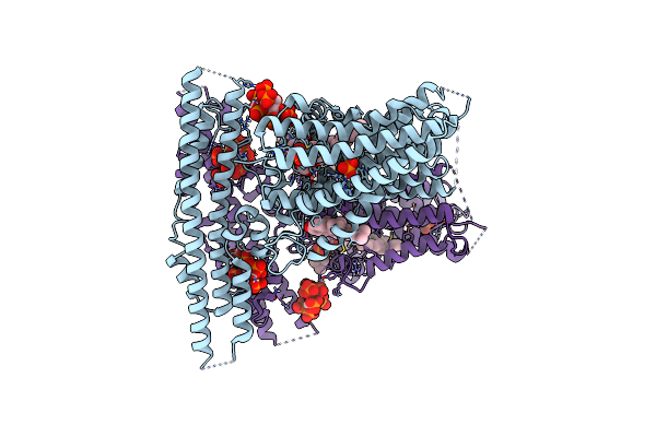 9DVP image