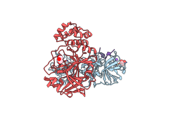 9DW6 image