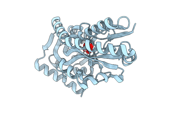 9DWO image
