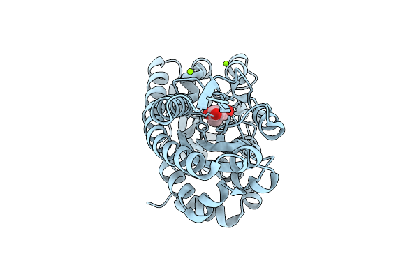 9DWP image