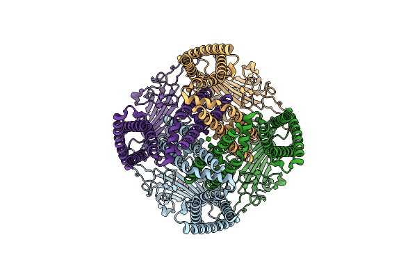 9DWQ image