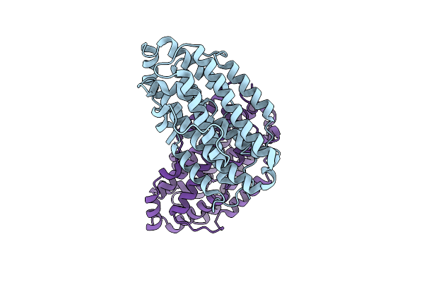 9DWS image