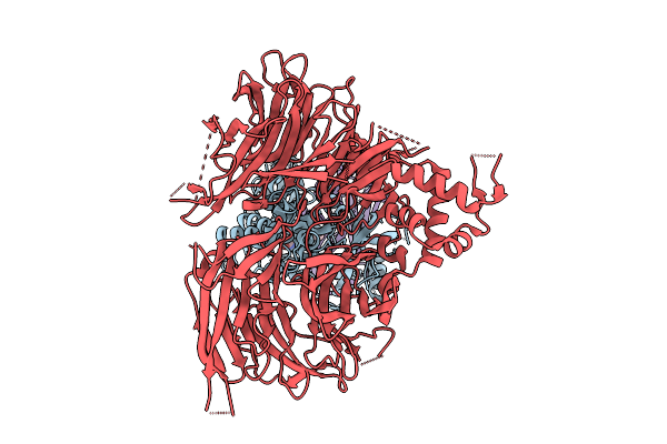 9DWW image