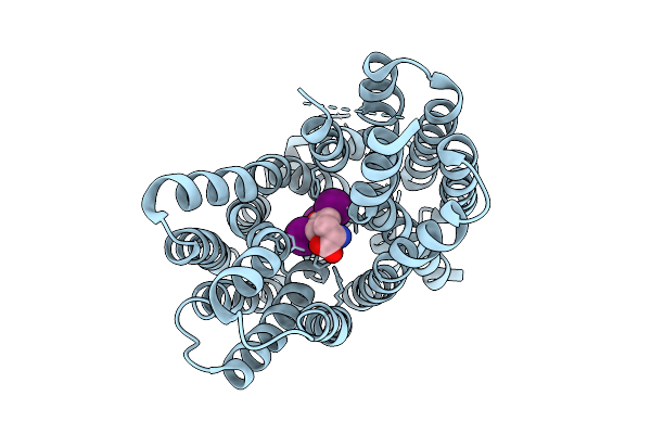 9DWY image