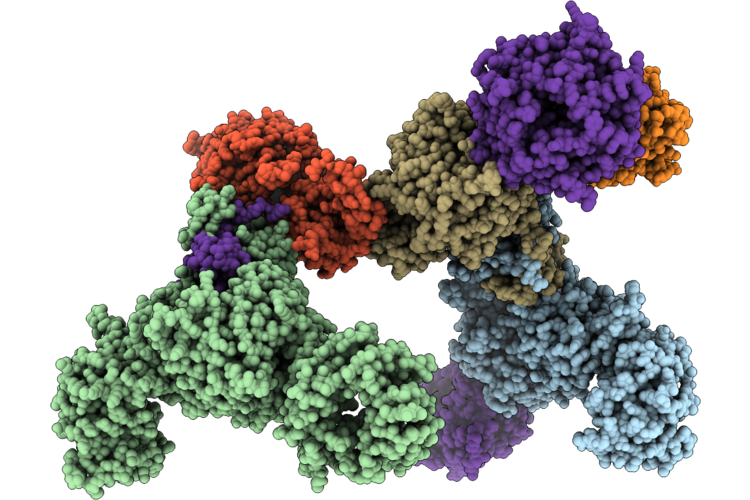 9DX1 image