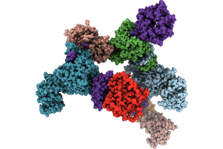 9DX2 image