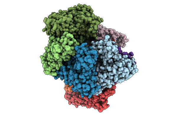 9DX3 image
