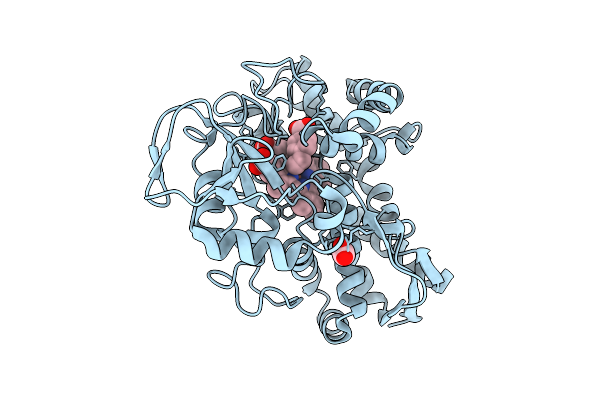 9DX8 image