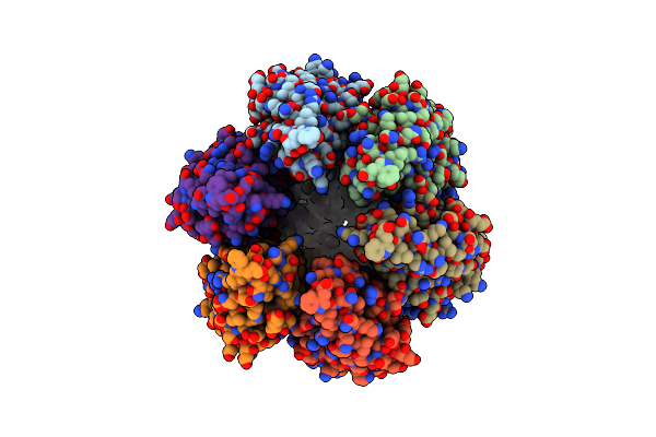 9DXA image