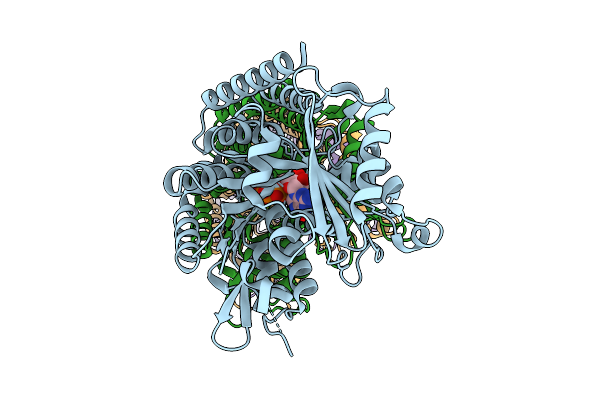 9DXE image