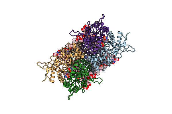 9DXS image