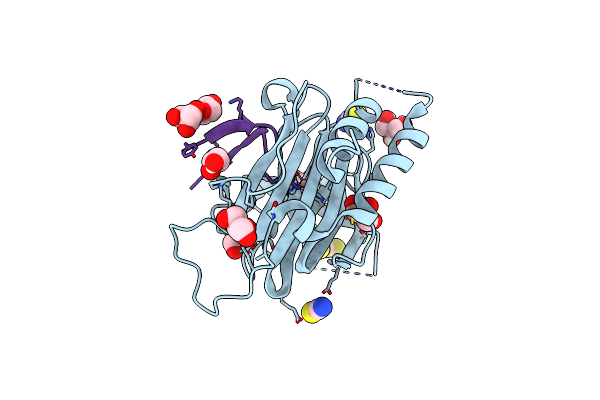 9DXV image