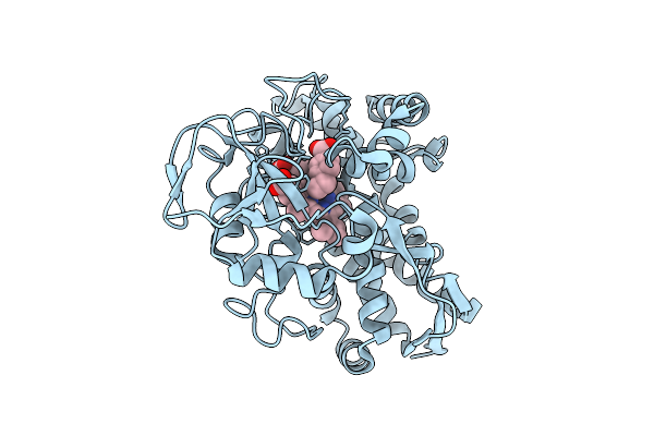 9DYC image