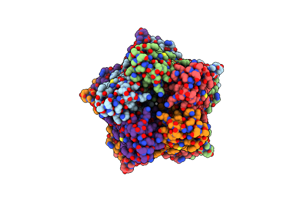 9DYI image