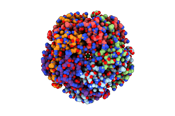 9DYN image