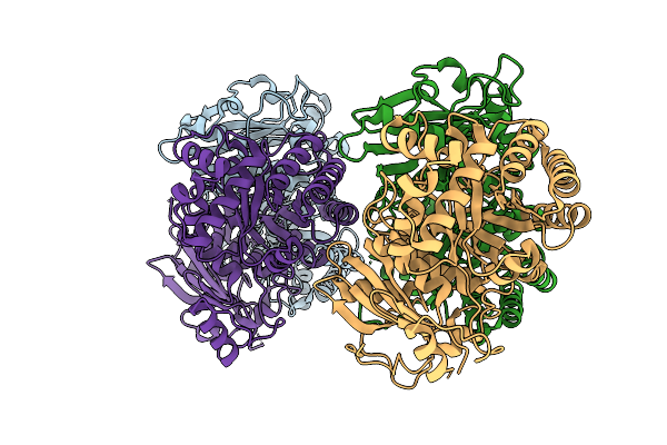 9DYP image