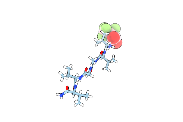9DYX image