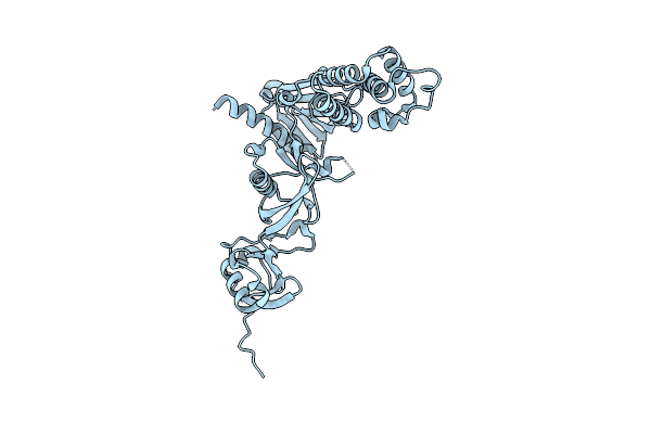 9DZ5 image