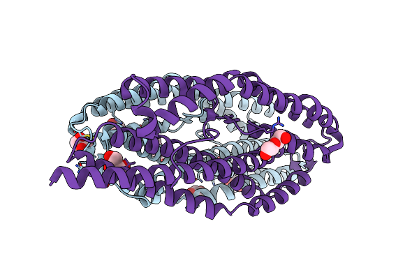 9DZC image