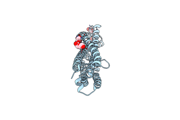 9DZD image