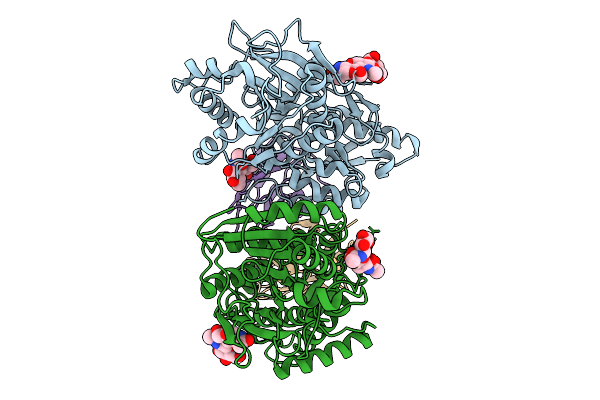 9DZG image
