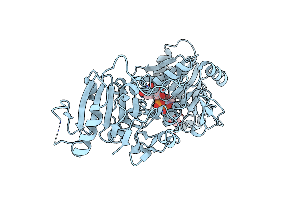 9DZS image