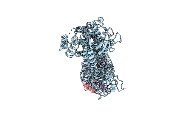 9DZV image